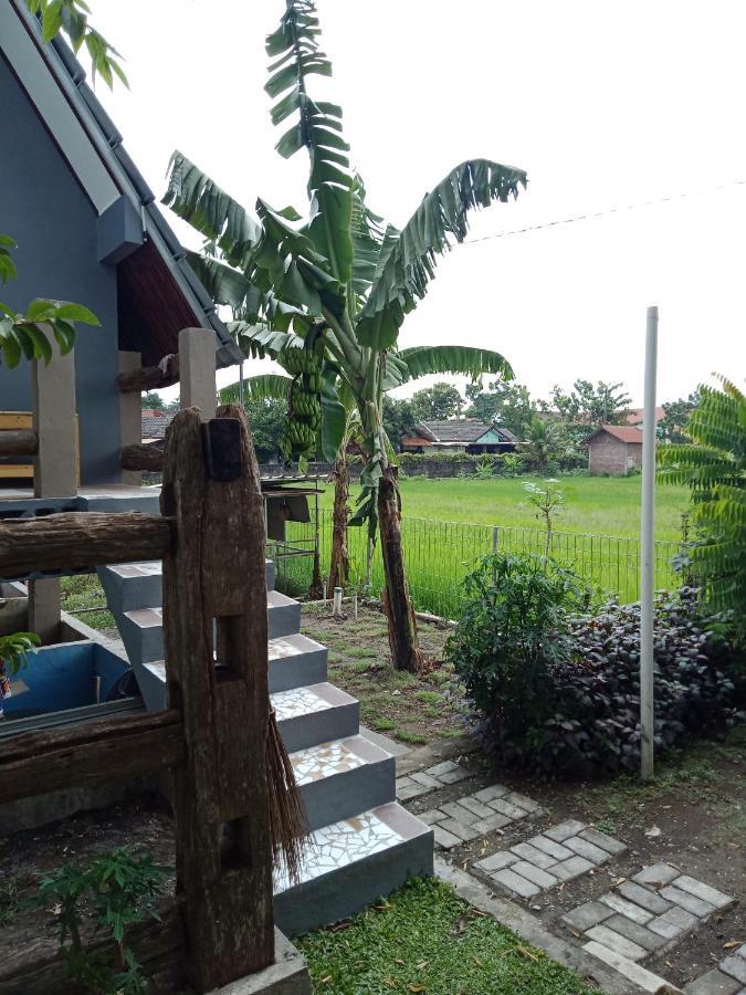 Joglopari Guesthouse Room 2 Bukan Untuk Pasangan Non Pasutri Tjepit Dış mekan fotoğraf